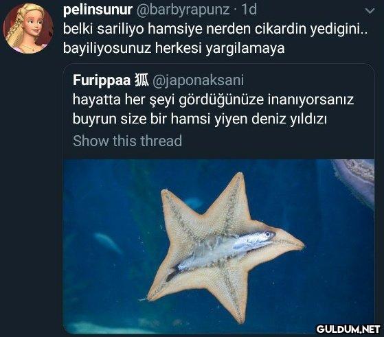 pelinsunur @barbyrapunz ·...