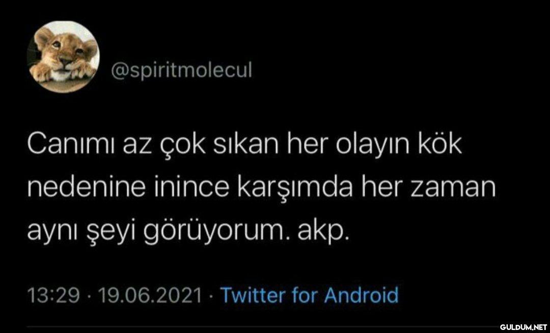 https://t.co/XtkptOd6QY  ...