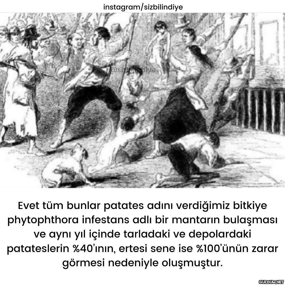 Patates diyip geçmeyin :)...