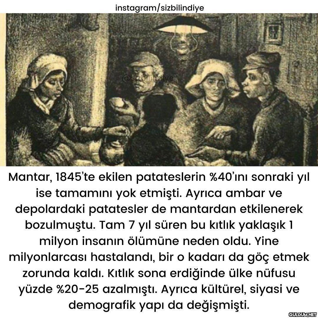Patates diyip geçmeyin :)...