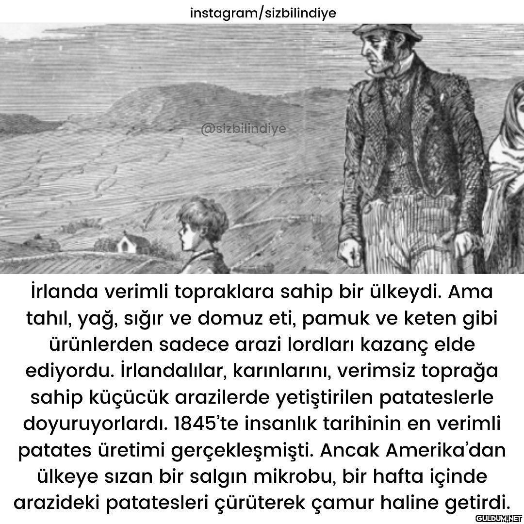 Patates diyip geçmeyin :)...