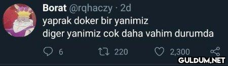 Borat @rqhaczy 2d yaprak...
