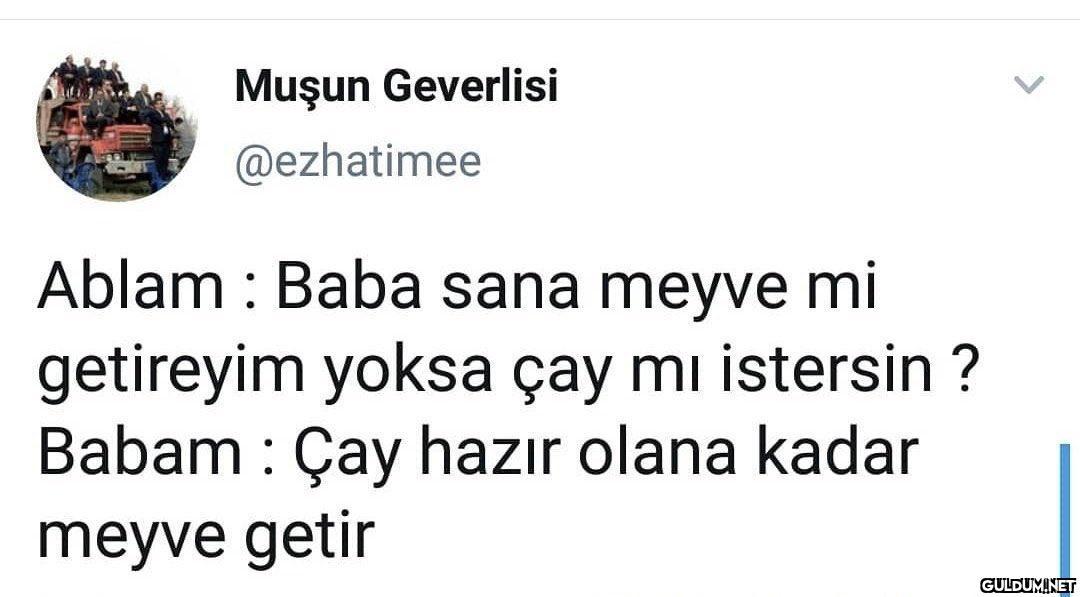 Muşun Geverlisi @ezhatimee...