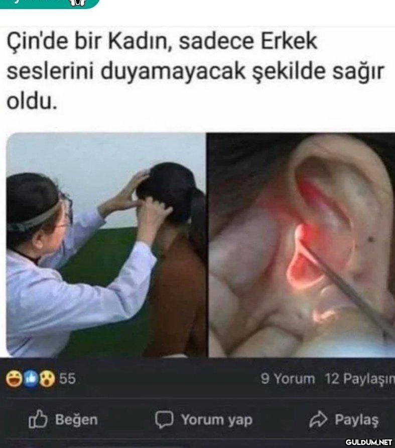 Haluk Levent...