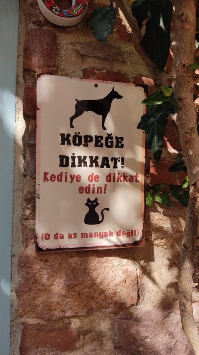 Sjjslsdldjdhskspdj...