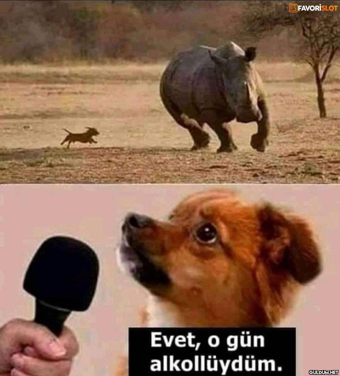 https://t.co/QjM6dUrbtL  ...