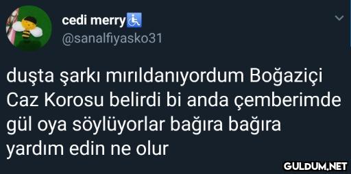 cedi merrya...