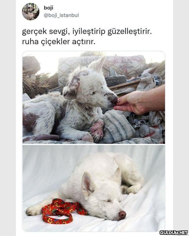 boji @boji_istanbul gerçek...
