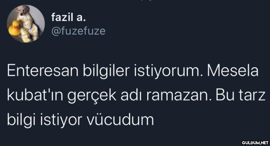 fazil a. @fuzefuze...