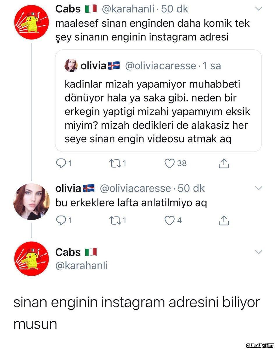 Hayvan gibi komik...