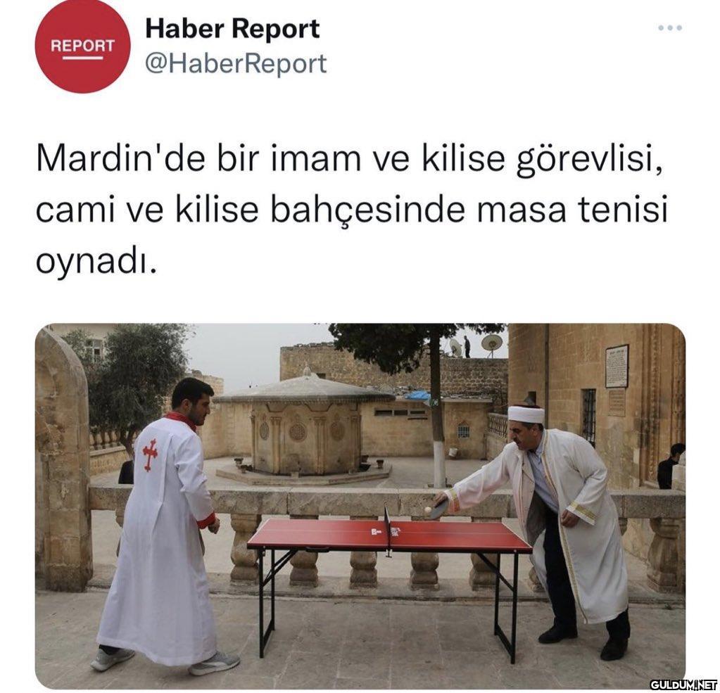 Haber Report ... REPORT...