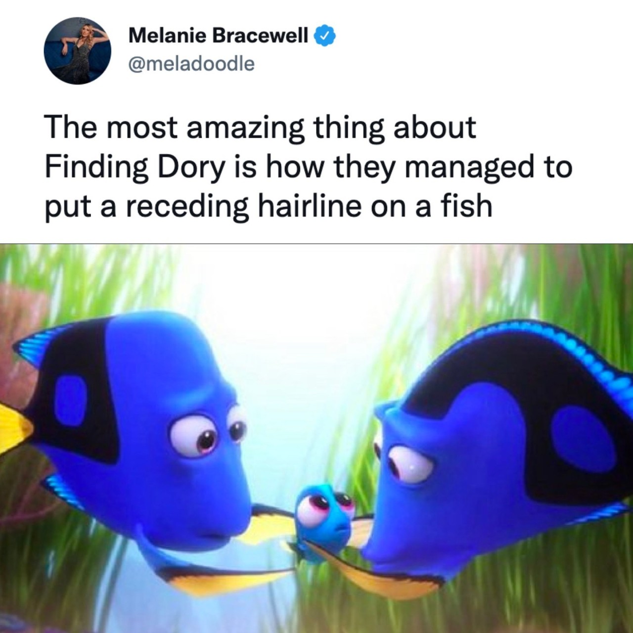 How can you unsee...
