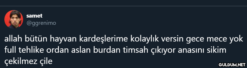 samet @ggrenimo allah...
