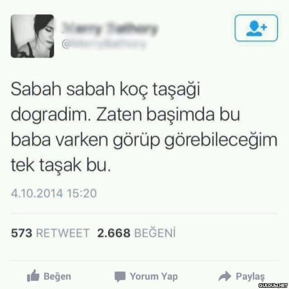 https://t.co/C8uqhMr1nn  ...