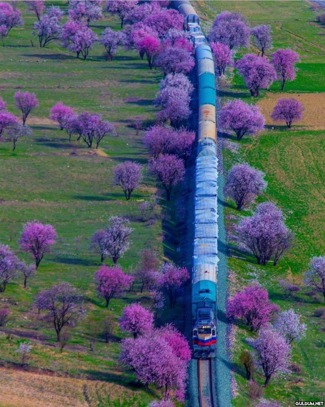 Kaydırmalı [📷...