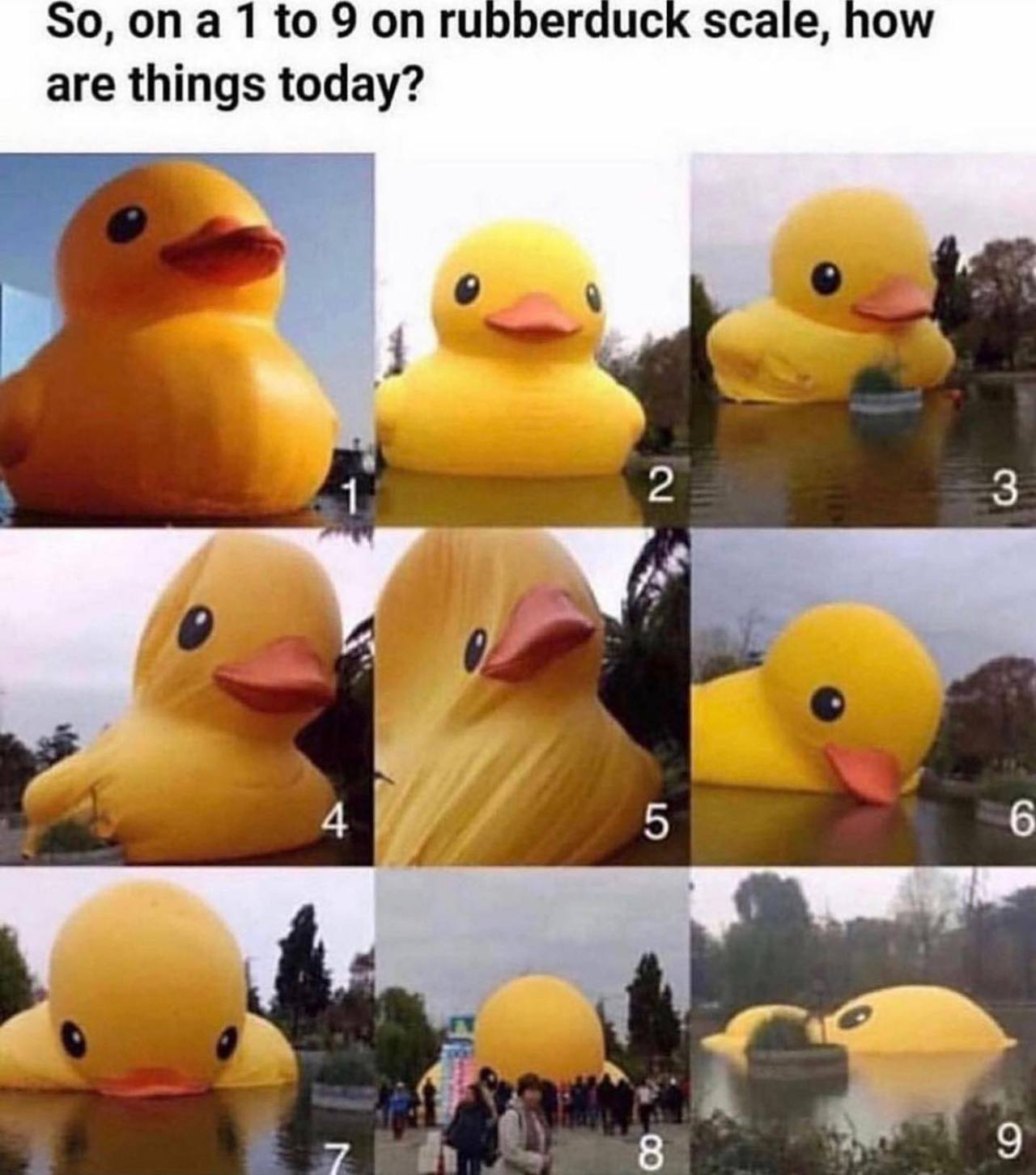 @thingsiwantok 🐥  Kaynak