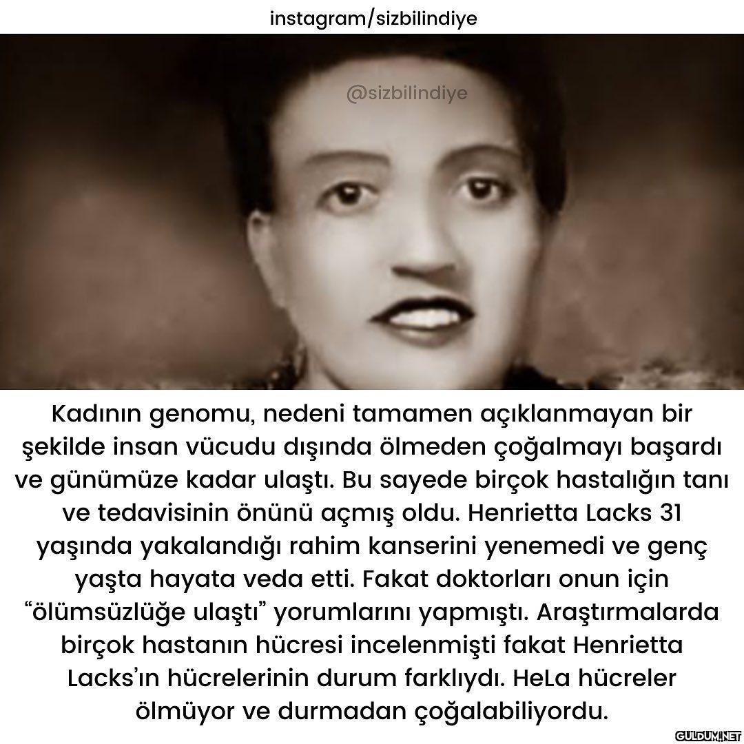 Gerçek bir yaşanmışlık...