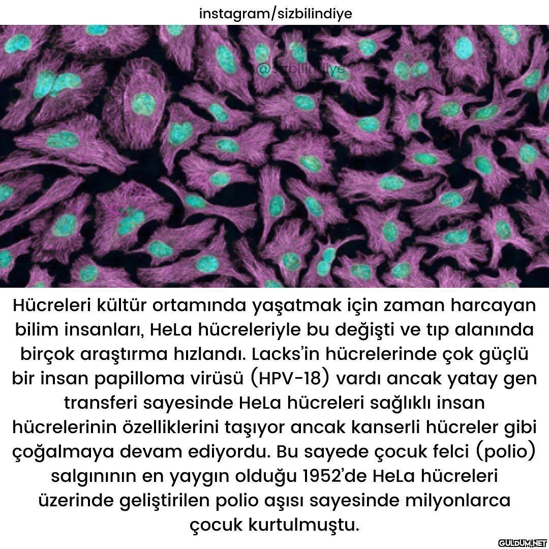 Gerçek bir yaşanmışlık...