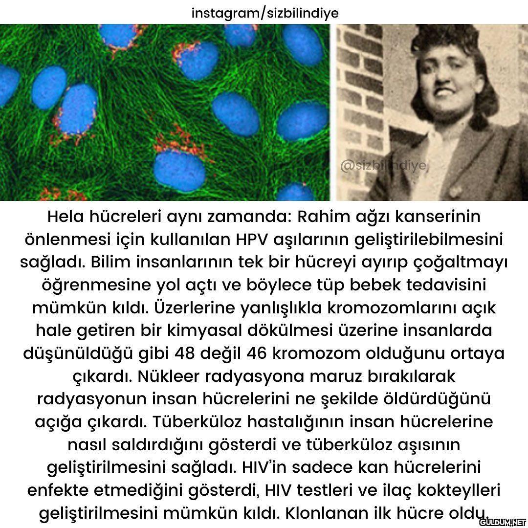 Gerçek bir yaşanmışlık...