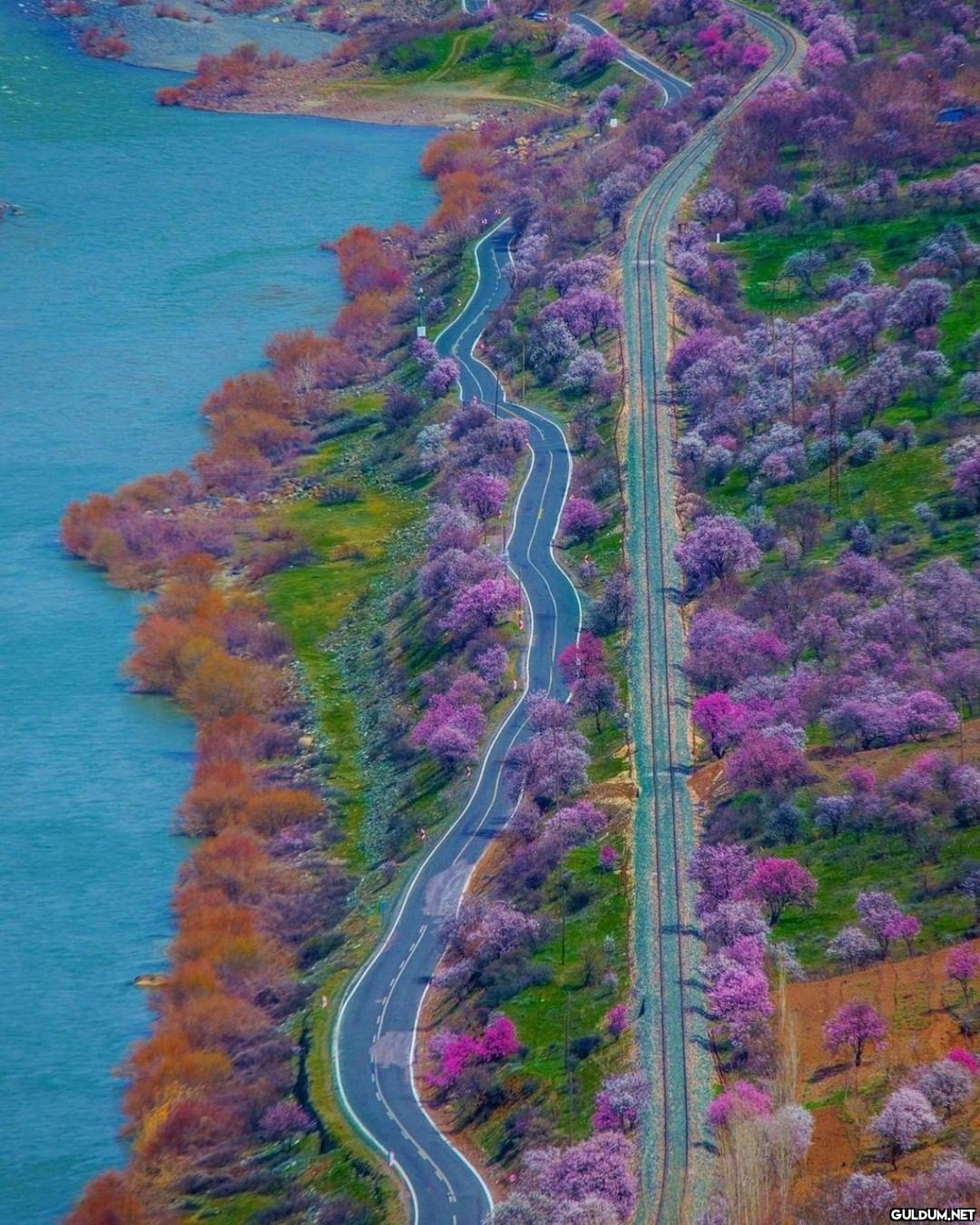 Kaydırmalı [📷...