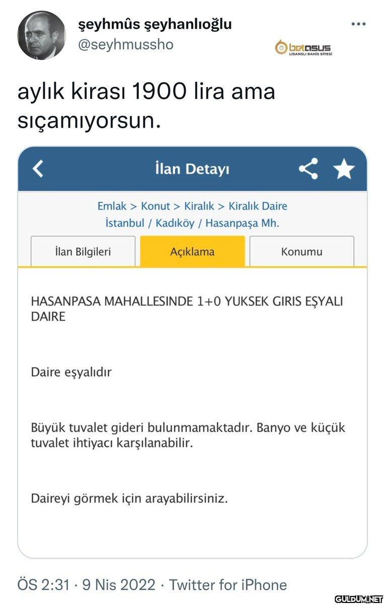 https://t.co/u05pcS1PjV  ...