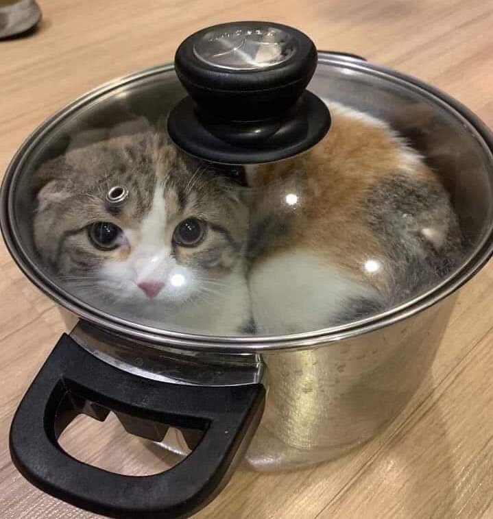Gel de şimdi bunu yeme...