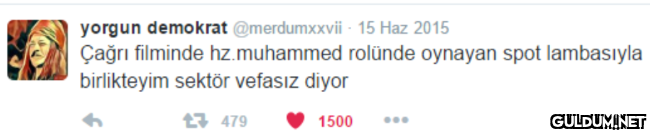 yorgun demokrat...