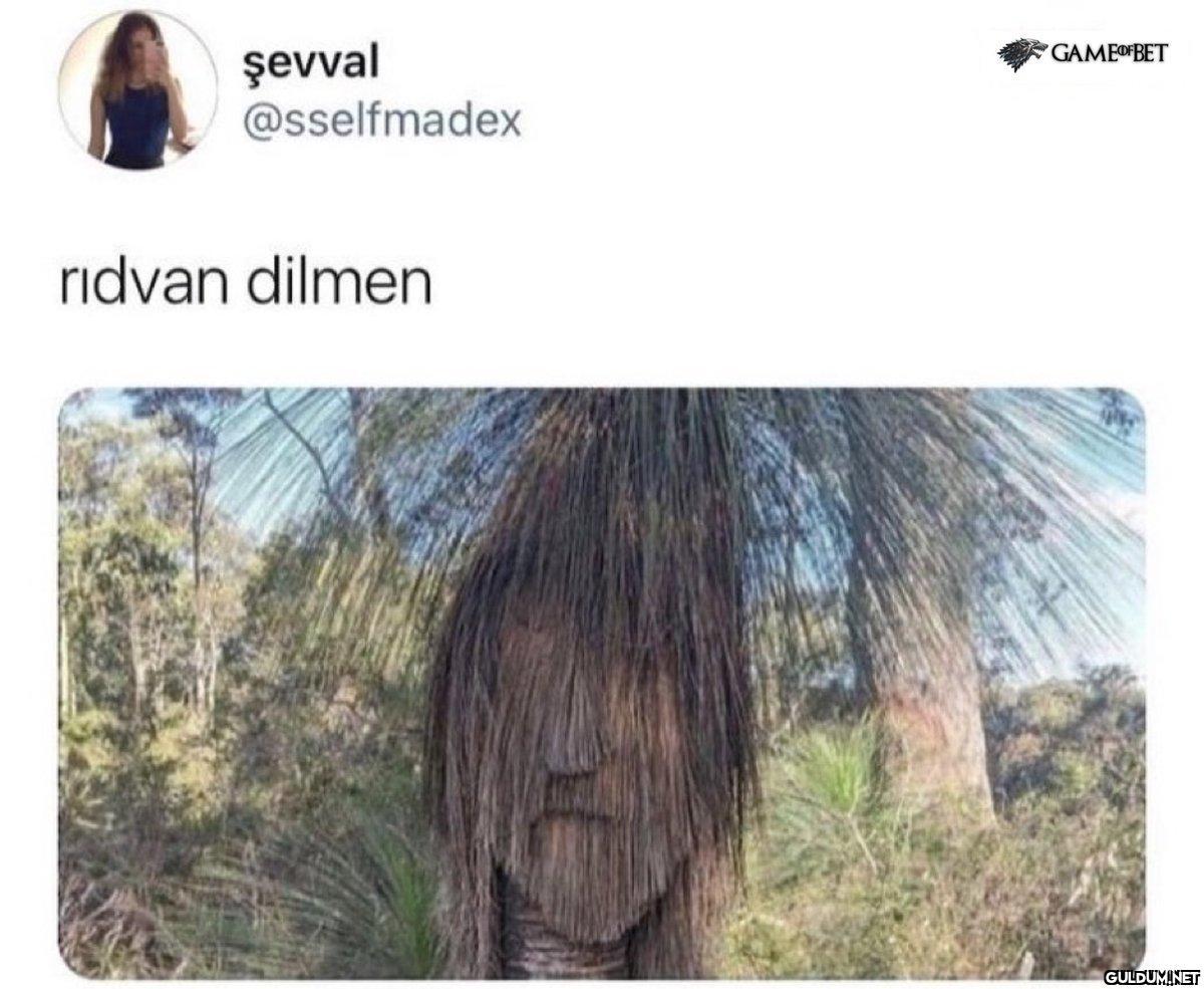 https://t.co/Nbr2pdtf1T  ...
