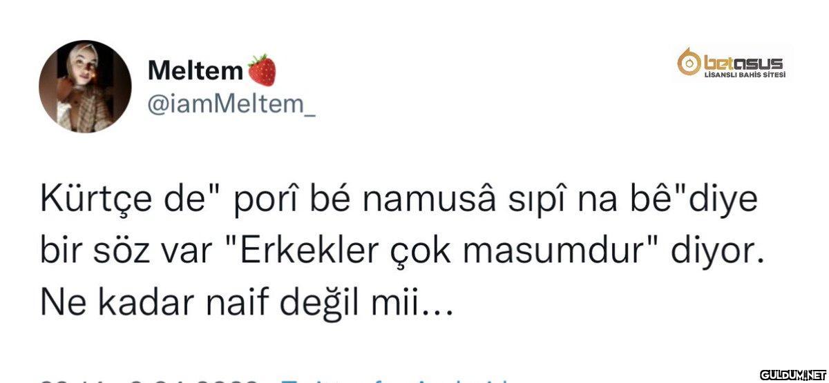 Meltem Obetasus LİSANSLI...