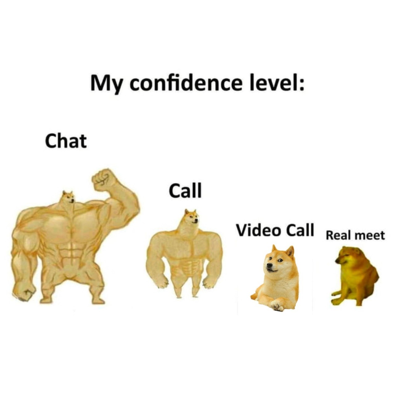 i'm an extrovert online,...