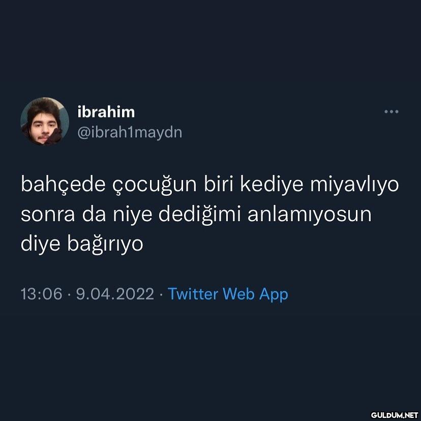 ibrahim @ibrah1maydn...