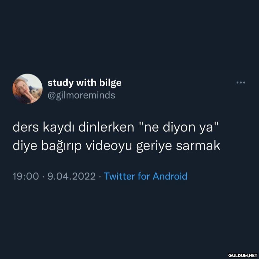 study with bilge...