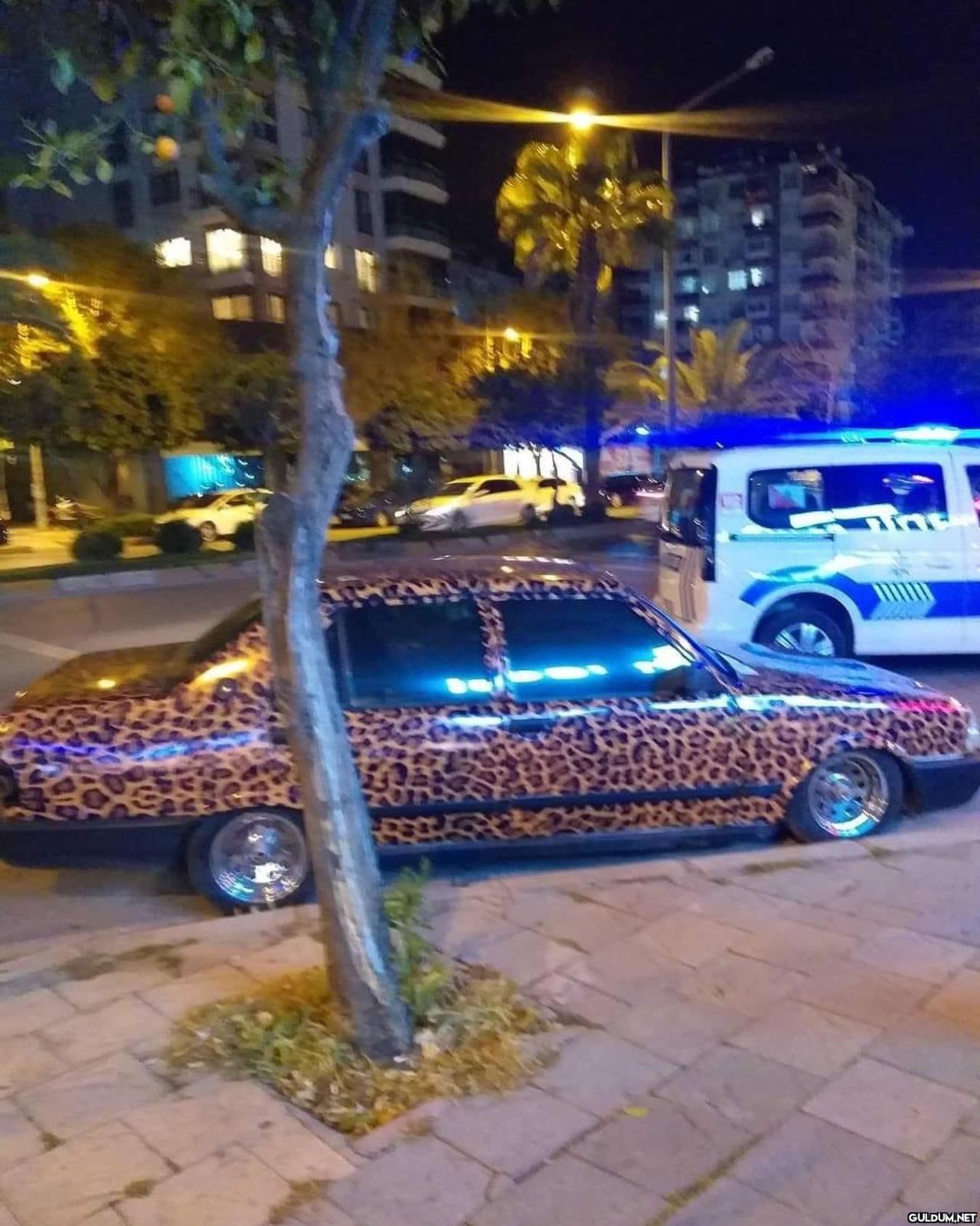 anlamsız fotoğraflar 5854  Kaynak