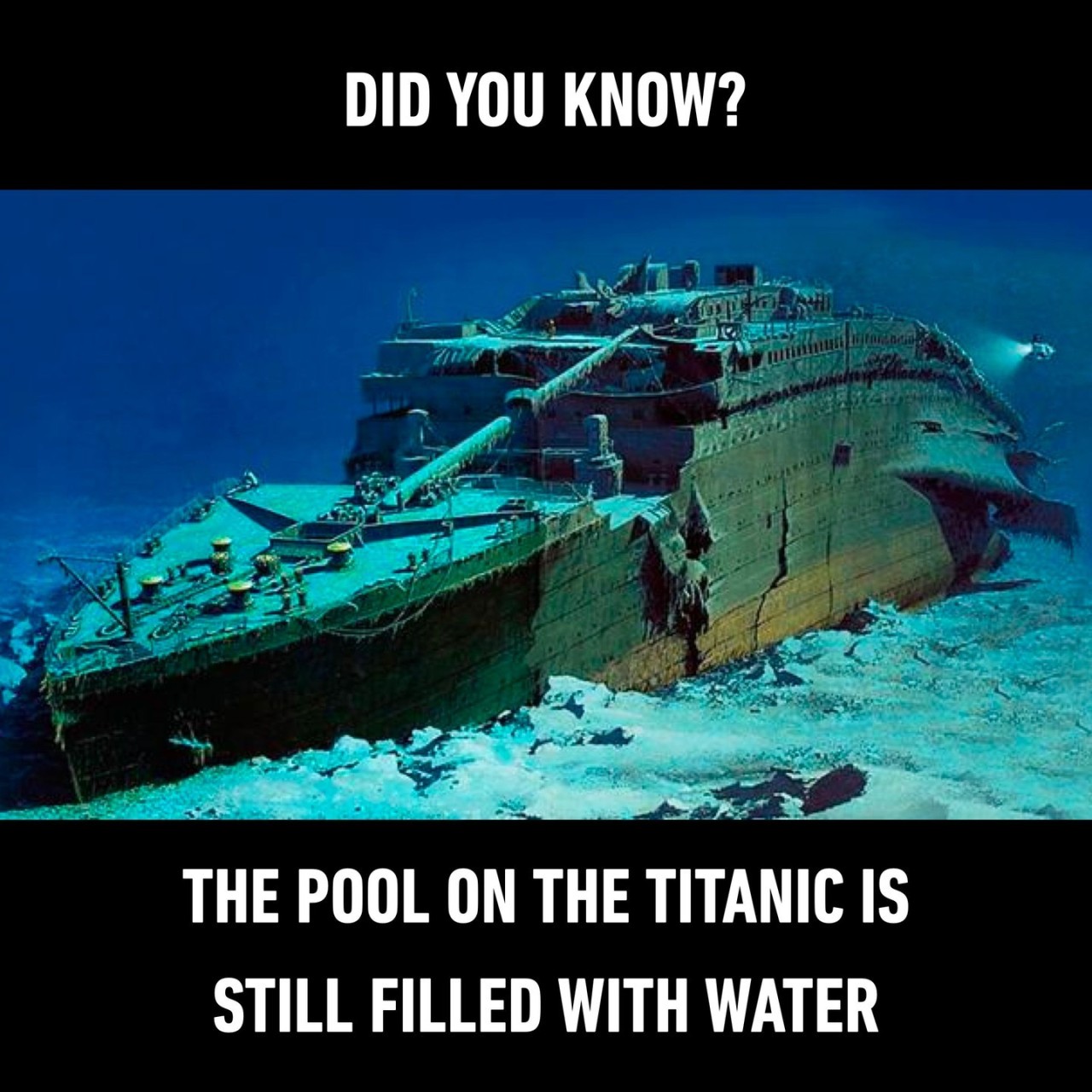 fun fact of the day -...