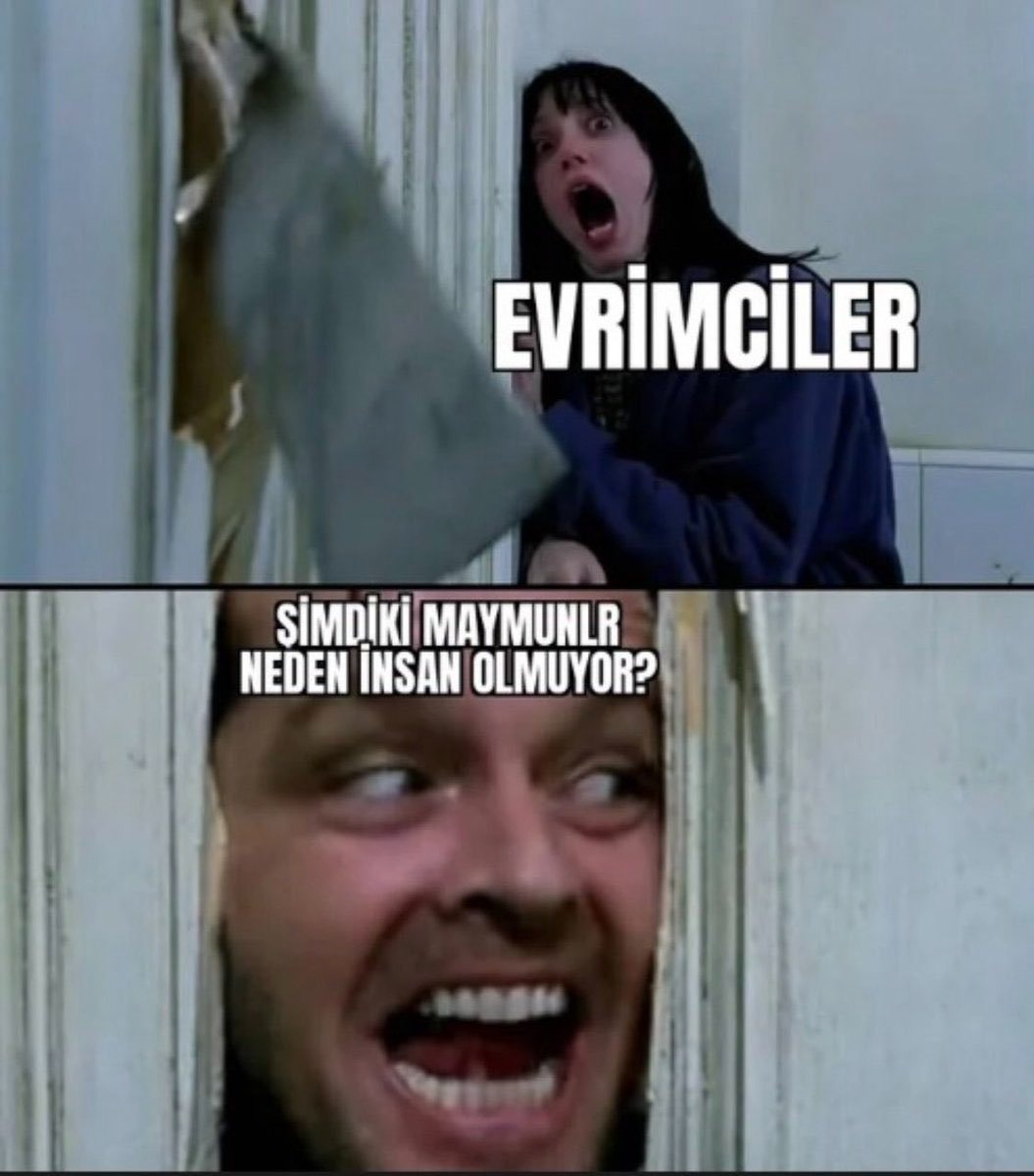 EVRİMCİLER ŞİMDİKİ...