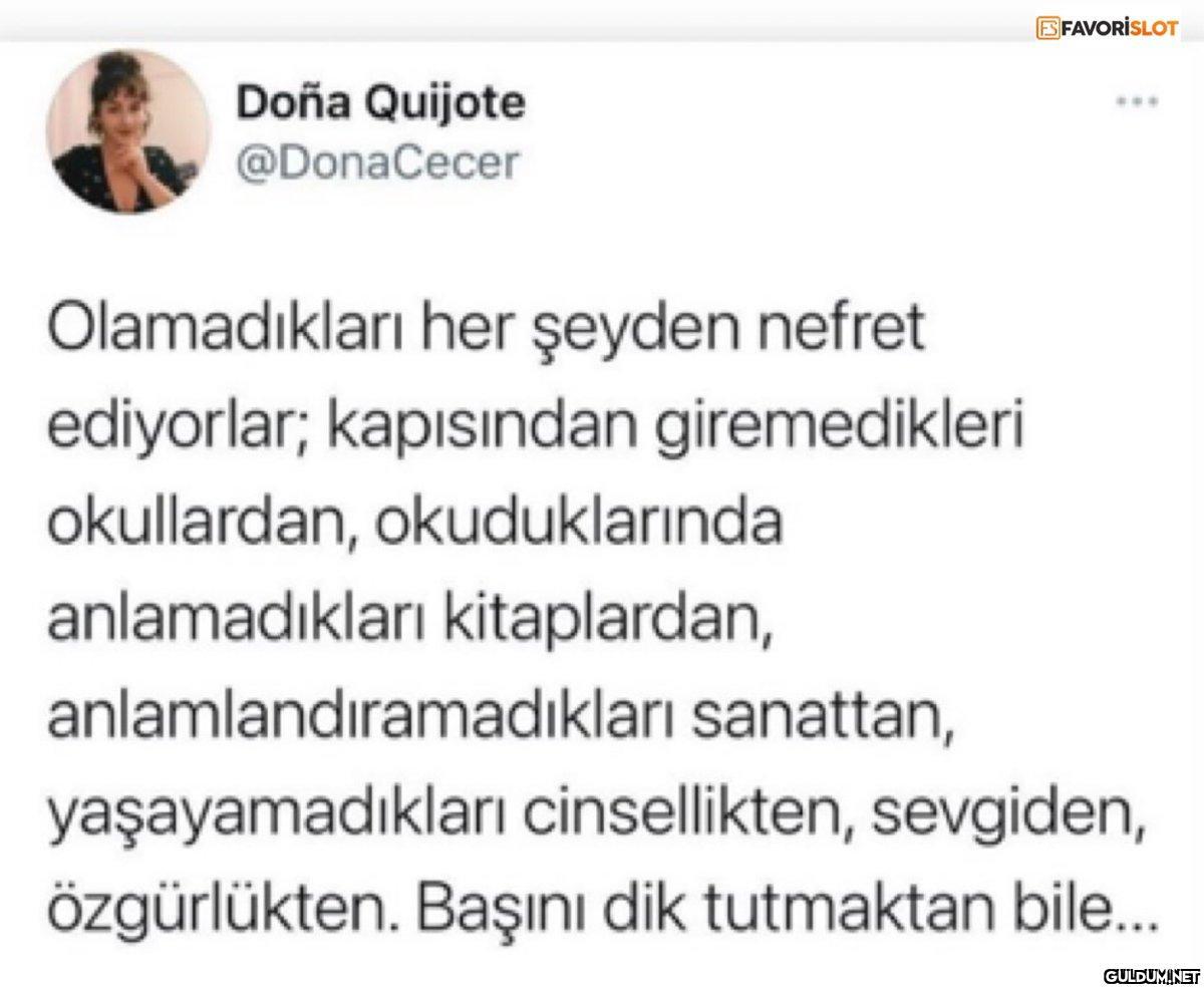 BFAVORİSLOT Doña Quijote...