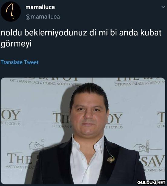 mamalluca @mamalluca noldu...