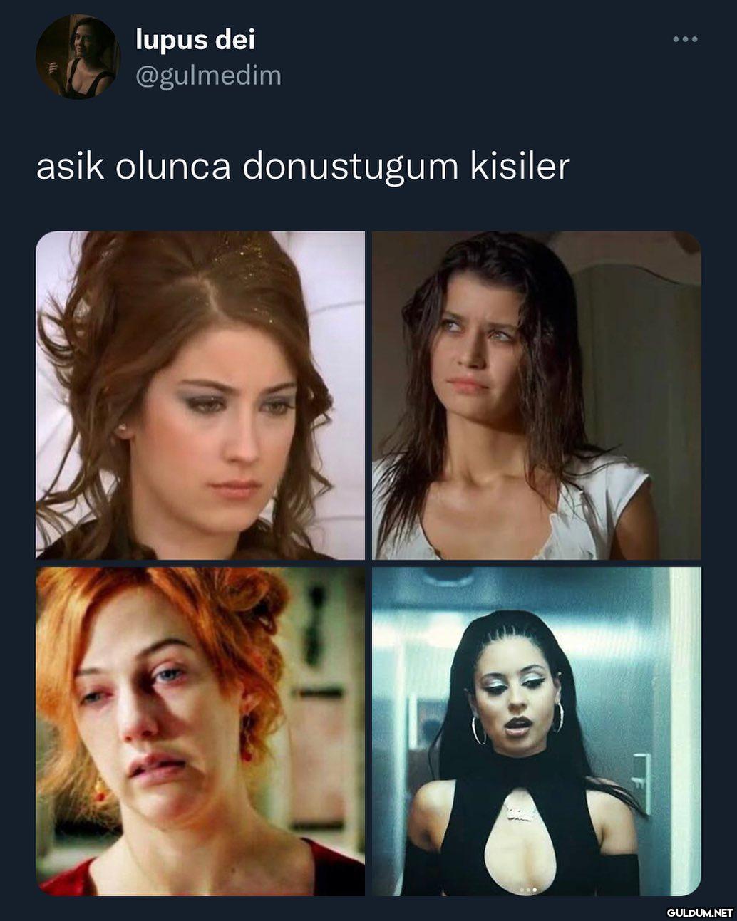 lupus dei @gulmedim asik...