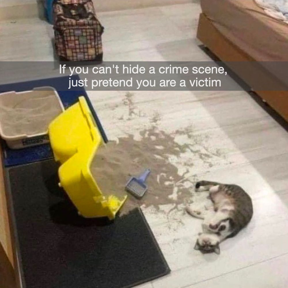 I didn't do this meow...