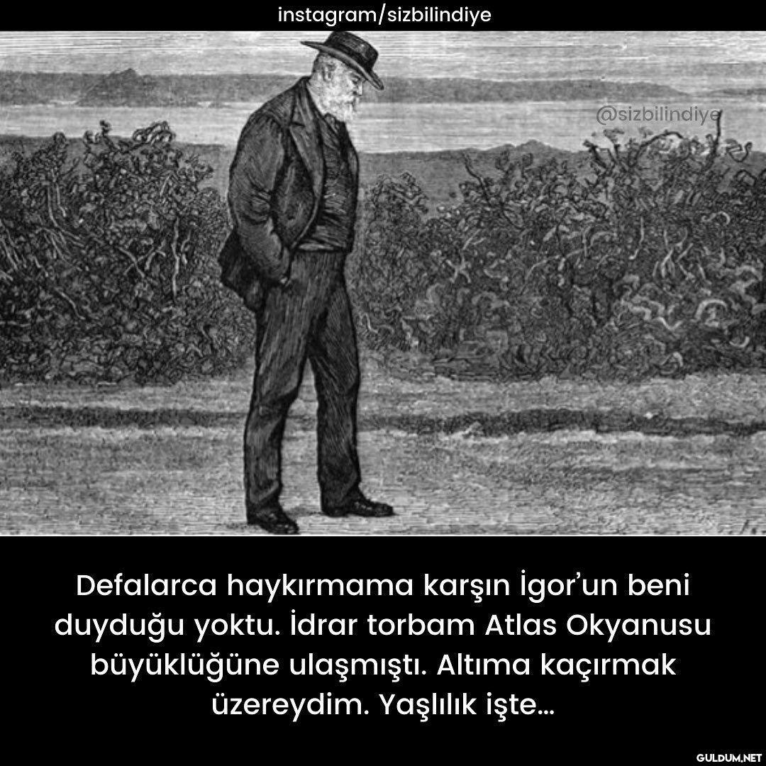 Daha fazla hikaye,bilgi ve...
