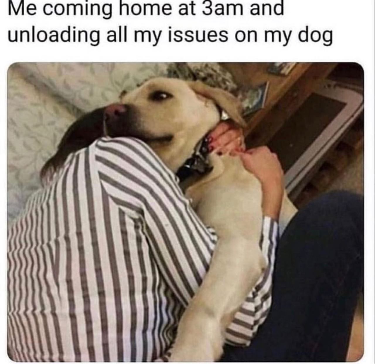 @someones.therapist 🐶  Kaynak