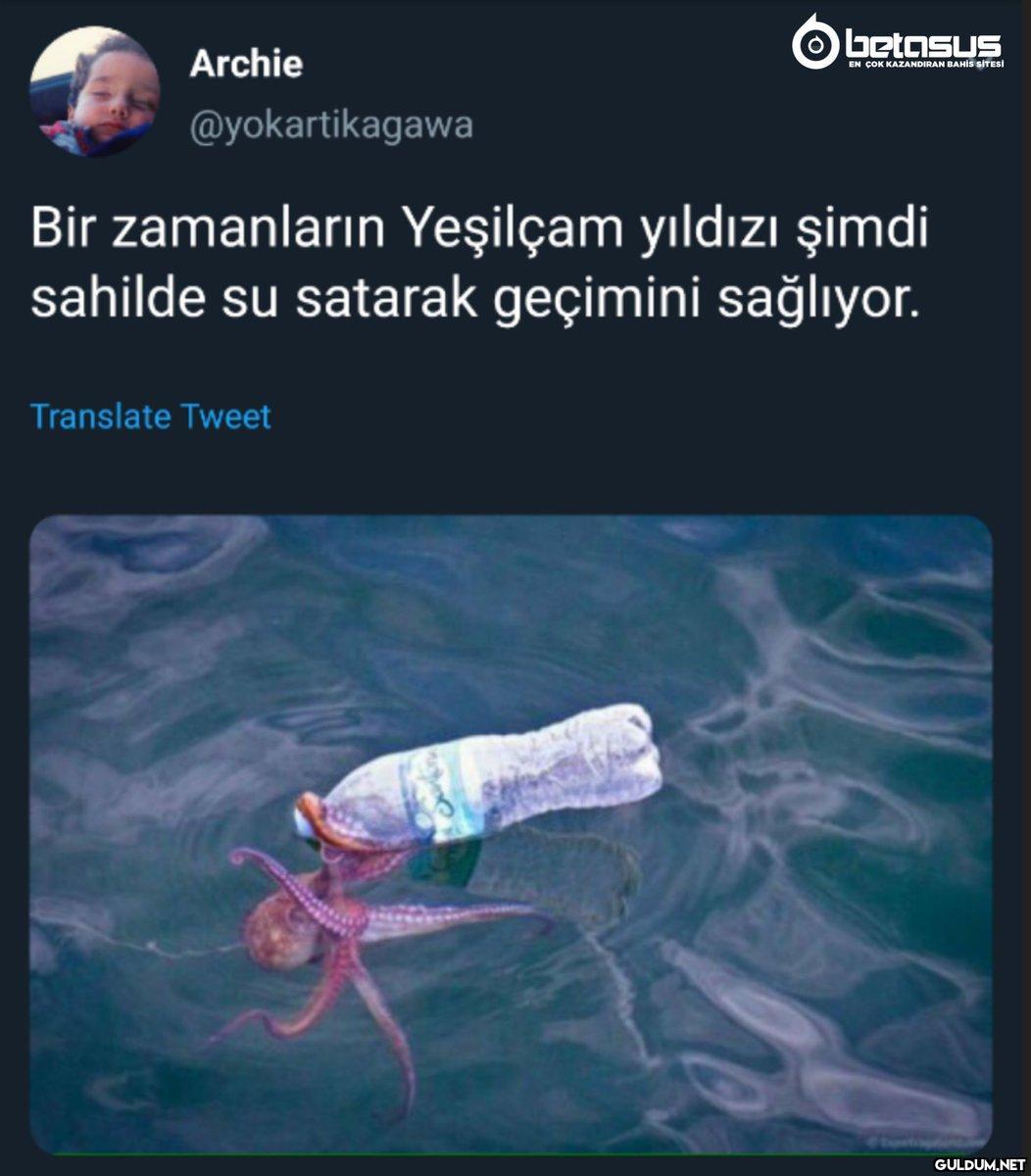 https://t.co/zxcOooaRb7  ...
