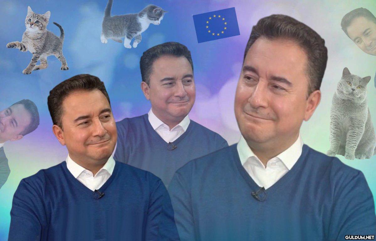 Kaynak
