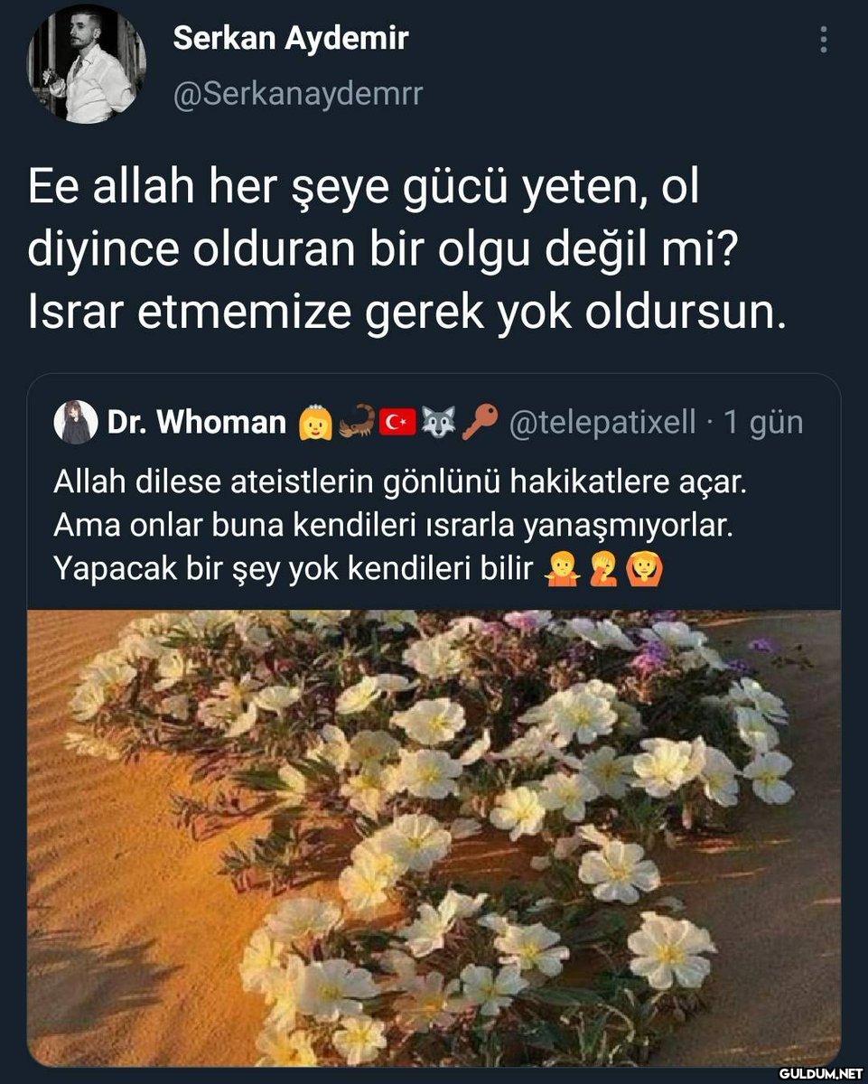 Serkan Aydemir...
