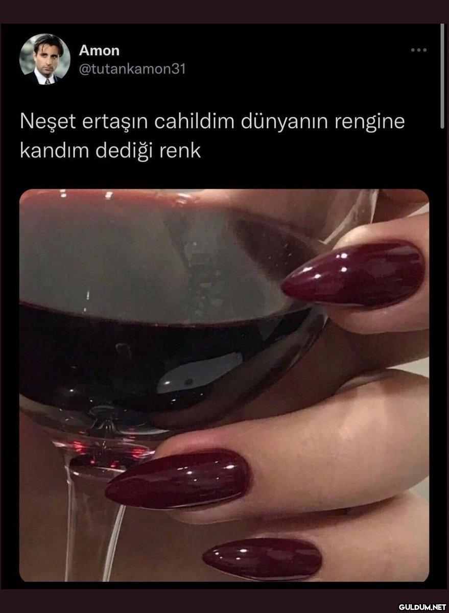 https://t.co/q7gcIaRkiv  ...