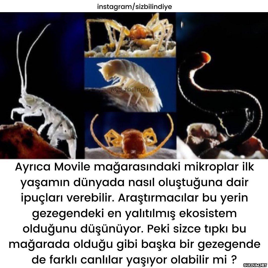 Müthiş bir yer 😍  Daha...