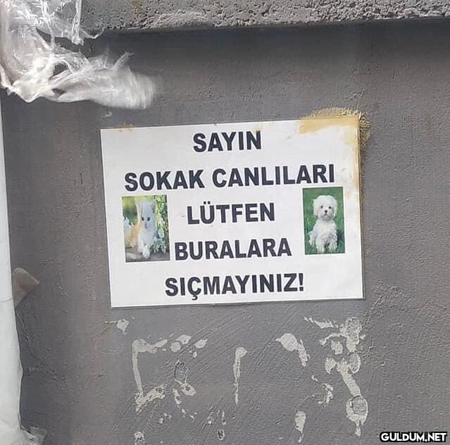 anlamsız fotoğraflar 73936...