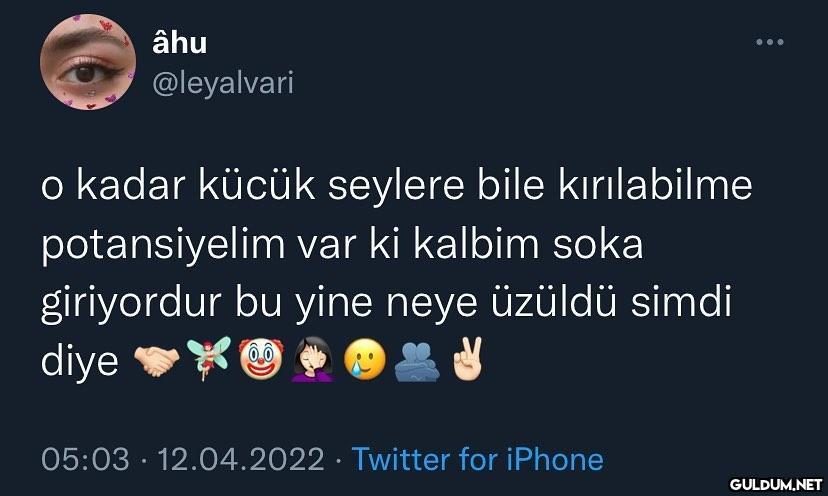 alıştık artık   âhu...