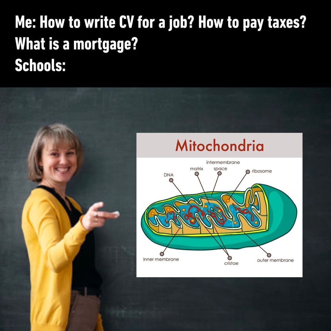 Have you ever used...