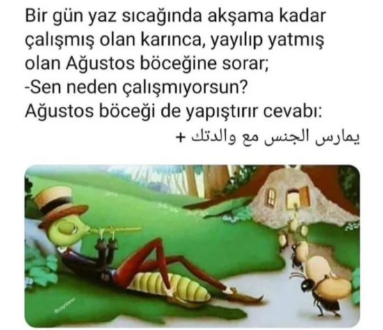 Bir gün yaz sıcağında...